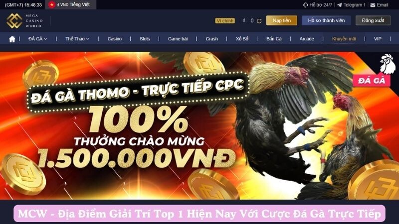 Giới thiệu sân chơi giải trí trực tiếp đá gà MCW